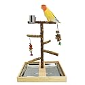 Tfwadmx Bird Perch Natural Wood Stand Parakeet Playground Toy Parrot Play Stand Platform Bird Cage Branch Perch Accessories for Canaries Cockatiels Conure Lovebirds
