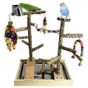 Tfwadmx Bird Playground Natural Wood Bird Play Stands Parrot Perch Stand with Removable Tray Climb Ladders Swing Chewing Toys for Lovebirds Cockatiels Budgies