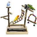 Tfwadmx Bird Playground Natural Wood Bird Play Stands Parrot Perch Stand with Removable Tray Climb Ladders Swing Chewing Toys for Lovebirds Cockatiels Budgies