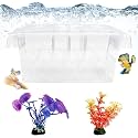Tfwadmx Fish Breeding Box 4 Rooms HD Aquarium Breeder with Suction Cups