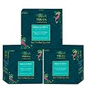 TGL Co.Miracle Mint Herbal Tea Infusion (Pack Of 3, 16 Tea Bags Each)|Rich in Anti Oxidant | Refreshing | No Artificial flavor | Improve Digestion
