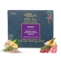 TGL Co.Geisha Green Tea Infusion (16 Tea Bags)|Rich in Anti Oxidant | Refreshing | No Artificial flavor | Improve Digestion