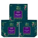 TGL Co.Geisha Green Tea Infusion (Pack Of 3, 16 Tea Bags Each)|Rich in Anti Oxidant | Refreshing | No Artificial flavor | Improve Digestion