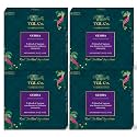 TGL Co.Geisha Green Tea Infusion (Pack Of 4, 16 Tea Bags Each)|Rich in Anti Oxidant | Refreshing | No Artificial flavor | Improve Digestion