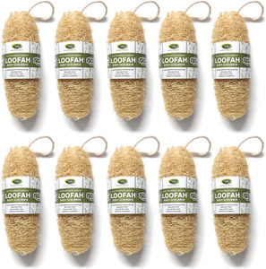 thanjai natural loofah pack of 10 gold