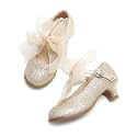 THEE BRON Girls Low Heel Dress Shoes Mary Jane Party Wedding Flower Girl Pumps