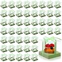 Thenshop 50 Pcs Clear Cupcake Boxes Individual 3.5 Inch, Light Green