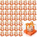 Thenshop 50 Pcs Clear Cupcake Boxes Individual 3.5 Inch, Orange