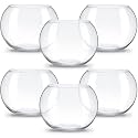 Thenshop 6 Pcs Clear Fish Bowl Bulk Glass Bubble Vase Mini Round Vase Bubble Planter Terrarium Fish Bowl for Centerpiece Flowers Betta Fishs Wedding Event Home Decor Flowers (4.5 x 3.7 x 5.9 Inch)