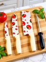THEODORE 4 Pc Stainless Steel Knife Set