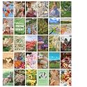 Thepaper9store Cottagecore Wall Collage Kit (4x6 inch) Set of 30 (A6 Size) | Premium 300 GSM Thick Paper | Vintage Floral &amp; Nature Aesthetic Posters | Cottagecore Room Decor for Bedroom &amp; Dorm | Glue Dots Included