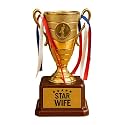 TheYaYaCafe® Valentine Gifts – 5 Star Wife Golden Champion Award Trophy | Romantic Birthday for Wife | Alloy Engraved Keepsake