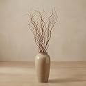 Thiccywoov 12 Pcs Real Dried Willow Branches 38 Inches Natural Curly