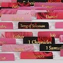 Thinkor Reposition Laminated Bible Tabs, Large Print Stickers, Easy to Read &amp; Apply Bible Tabs for Women &amp; Man (Gold Pink Rose)