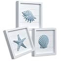 Tide and Tales 3D Coastal Wall Art, Beach Wall Decor, Framed Set of 4, Blue