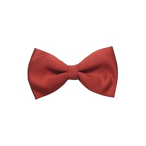 the tie hub solid burgundy bow tie for men