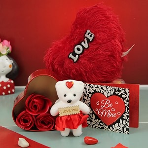 tied ribbons valentine gift for girlfriend boyfriend girls boys husband wife him her - special heart shape teddy gift box with heart cushion card combo