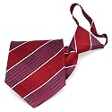 tiemart Pretied Zipper Ties Easy On Zip Up