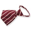 tiemart Pretied Zipper Ties Easy On Zip Up