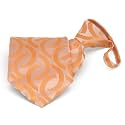tiemart Pretied Zipper Ties Easy On Zip Up