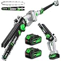 TIETOC 2-in-1 Brushless Pole Saw for Tree Trimming – 8" Mini Electric Chainsaw with 2×4000mAh Batteries, Auto Oiling, Tool-Free Adjustment,Cordless Battery Powered Saw for Home Garden Branch Cutting
