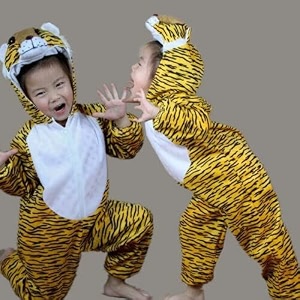 Tiger dress for kids Animal Kids