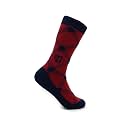 Timeless Tartans Wool/Cashmere Dress Socks, Classic Collegiate Apparel, Officially Licensed Gift & Clothing Accessories