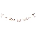 A Tini Bit Older Birthday Banner