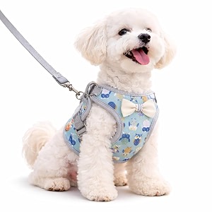 tinyfingers puppy cotton padded harness amp leash setadjustable no pull greym 55kg -9 kg dogs amp cats