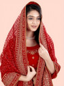 TinyTwist Net Embroidered Embellished Red Women Dupatta