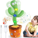 Tinywonders Dancing Cactus 003