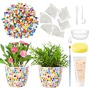 Tioncy 2 Set Mosaic Coaster DIY Vase Mosaic Painting Kit for Adults Gift, DIY Arts and Craft Kits Vase Flower Accessories Art Kit for Room Decor Craft, Home Decor Gifts(Rainbow)