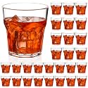 Tioncy 30 Pcs Acrylic Whiskey Glasses 9oz Shot Glasses for Man Drinking Bar