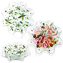 Tioncy 4 Pcs Christmas Plastic Bowls Holly Leaves Candy Dish 8 Inch