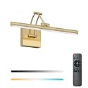 Tipace Hardwired Gold Picture Lights for Paintings - 15.7 inch 3CCT Dimmable Modern Gallery Light with Remote Control Led Wall Art Lighting Display Artwork