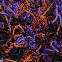 Tisspoms Black Orange Purple Crinkle Cut Paper Shred Filler, 1 LB Basket Filler Shredded Paper, Confetti Stuffing for Basket Filling, Mother's Day, Birthdays，DIY Gift Wrapping, Stuffer Party Supplies
