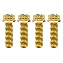 Titanium Flange M10 Bolt (M10x25mm Pitch 1.25mm, Gold)