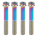 Titanium Flange M10 Bolt (M10x65mm Pitch 1.5mm, Multicolored)