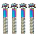 Titanium Flange M10 Bolt (M10x50mm Pitch 1.25mm, Multicolored)