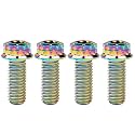 Titanium Flange M10 Bolt (M10x25mm Pitch 1.5mm, Multicolored)