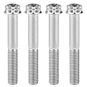 Titanium Flange M10 Bolt (M10x55mm Pitch 1.5mm, Silver)