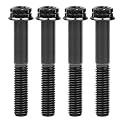 Titanium Flange M10 Bolt (M10x50mm Pitch 1.25mm, Black)