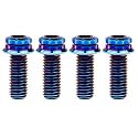 Titanium Flange M10 Bolt (M10x20mm Pitch 1.25mm, Burnt Blue)