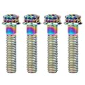 Titanium Flange M10 Bolt (M10x40mm Pitch 1.25mm, Multicolored)