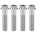 Titanium Flange M10 Bolt (M10x40mm Pitch 1.5mm, Silver)