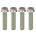 Titanium Flange M10 Bolt (M10x30mm Pitch 1.5mm, Multicolored)