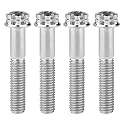 Titanium Flange M10 Bolt (M10x45mm Pitch 1.5mm, Silver)
