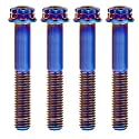 Titanium Flange M10 Bolt (M10x50mm Pitch 1.25mm, Burnt Blue)