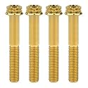 Titanium Flange M10 Bolt (M10x50mm Pitch 1.25mm, Gold)