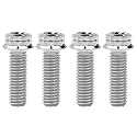 Titanium Flange M10 Bolt (M10x25mm Pitch 1.5mm, Silver)